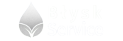 Błysk Service